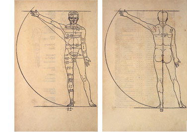 The Four Books on Human Proportions